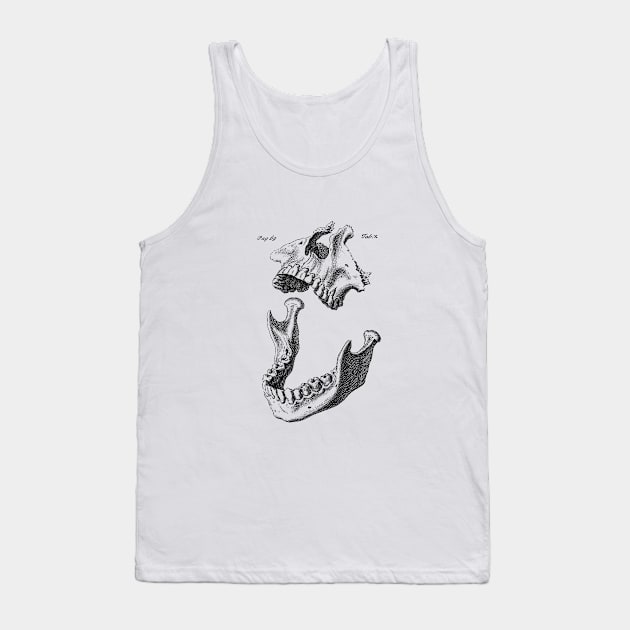 Bones of the Face Tank Top by cavalaxis